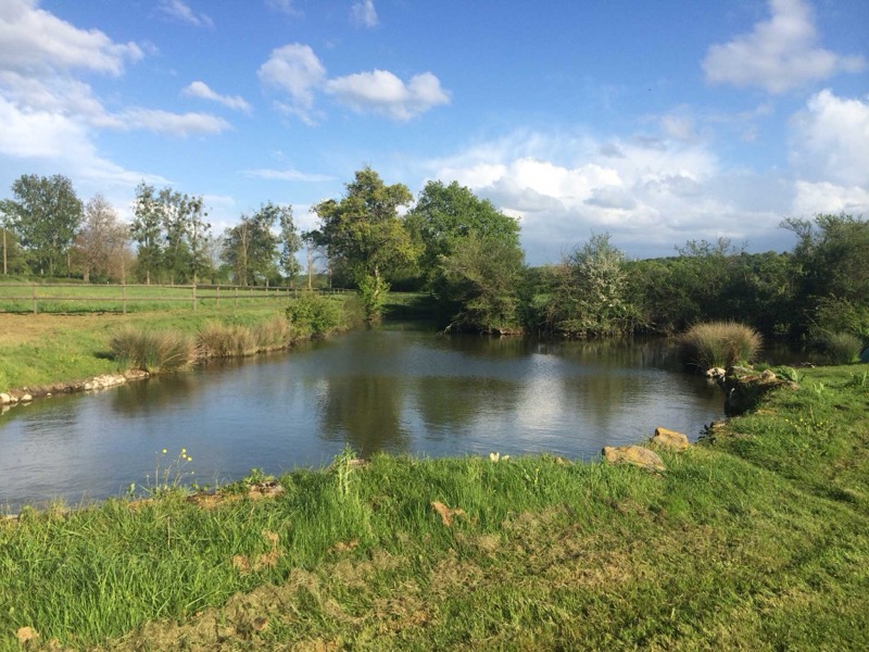 The small lake