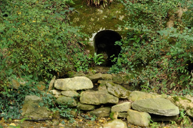 The font of Fontmorand in its grove
