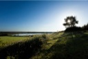 Brenne Countryside